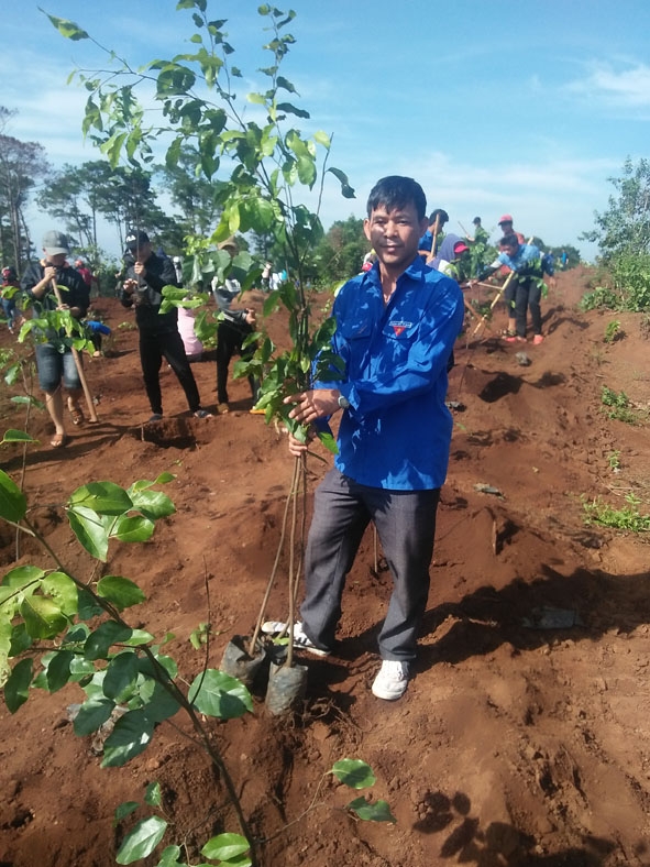 Anh Y Vân Mlô, Bí thư Chi đoàn buôn Drăh 2 (xã Cư Né) tham gia công trình thanh niên trồng cây sao đen.