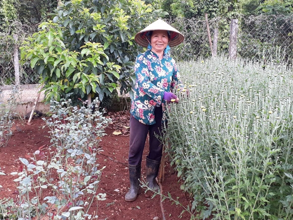 Gia đình chị Nguyễn Thị Mai (thôn 3, xã Ea Tiêu) có thu nhập ổn định từ việc trồng hoa.   				    		                     
