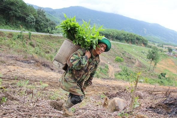 Người dân xã Ea Trang vận chuyển cây giống để trồng rừng.   