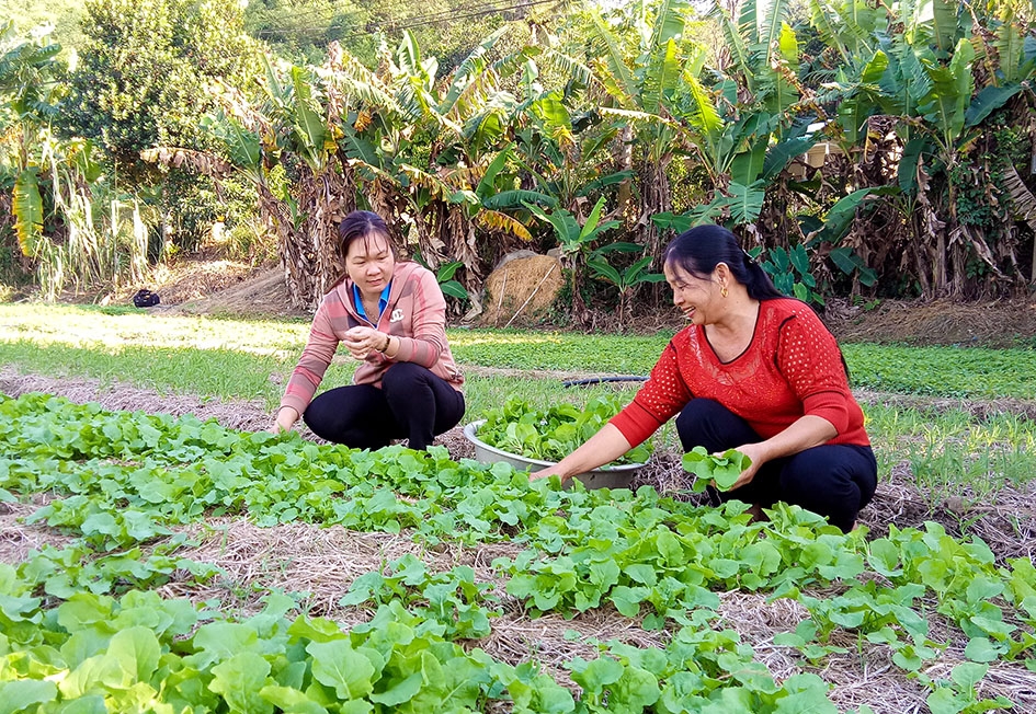 Cán bộ Hội Liên hiệp Phụ nữ xã Buôn Tría đến thăm mô hình trồng rau của chị  Vũ Châu Sơn (bìa phải). 