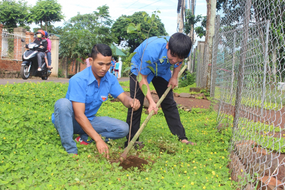 Đoàn viên thanh niên Thành Đoàn Buôn Ma Thuột tham gia trồng cây phân tán tại các tuyến đường ở xã Hòa Khánh (TP. Buôn Ma Thuột)