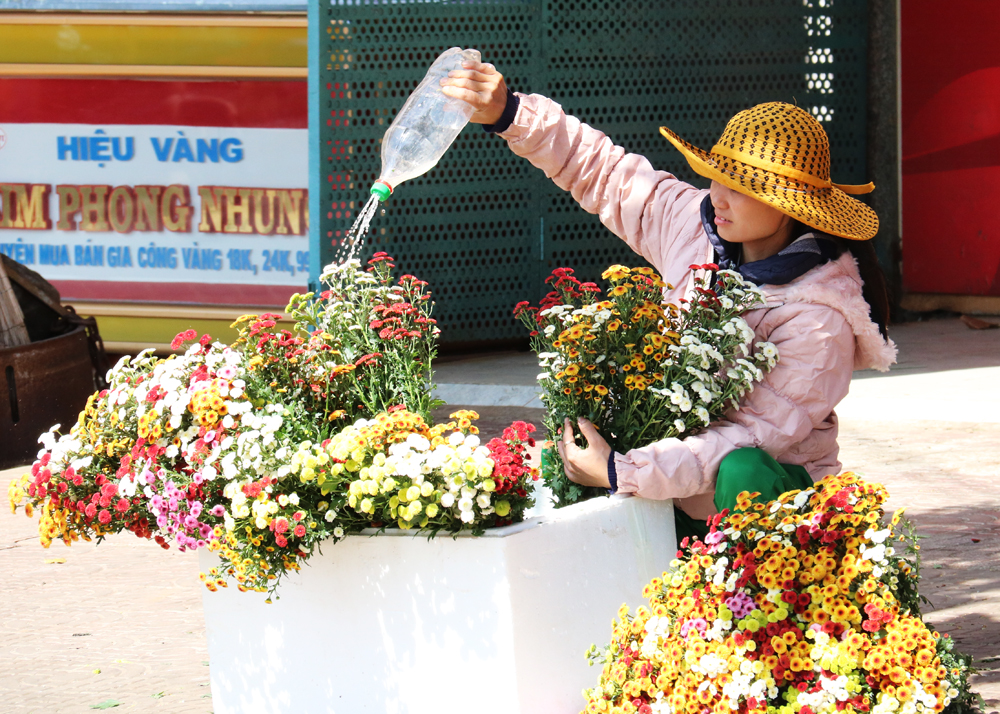 Hoa cúc tươi đủ màu sắc được bày bán tại chợ trong ngày 22 tháng Chạp