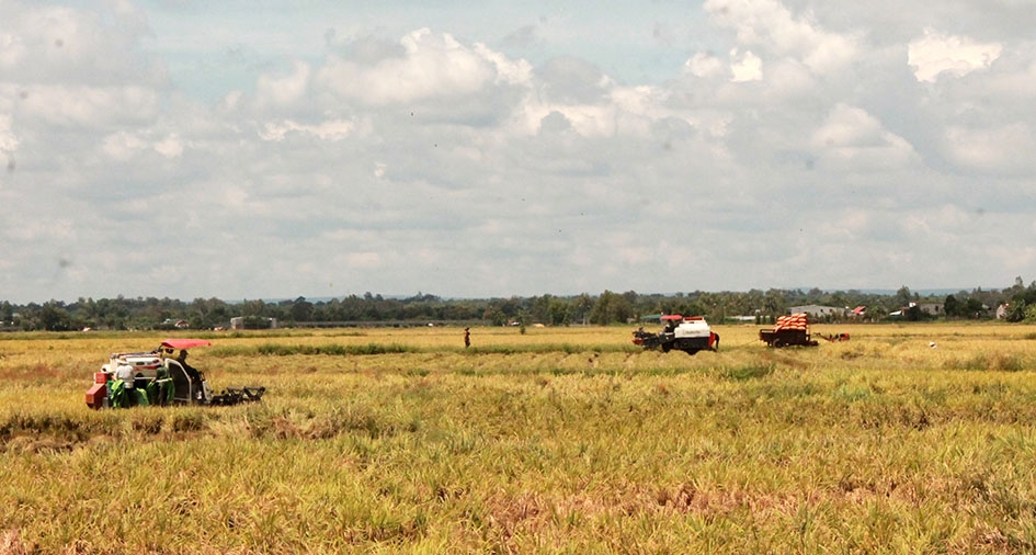 Nông dân xã Ea Kmút sử dụng cơ giới hóa trong sản xuất, thu hoạch lúa.