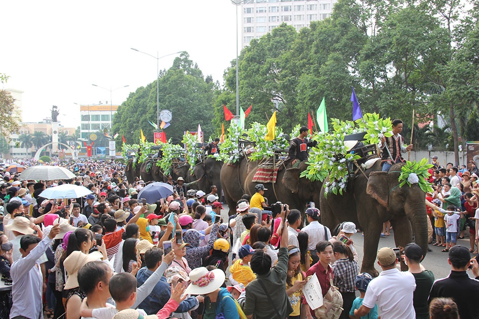 Voi diễu hành trên đường Nguyễn Tất Thành đến bùng binh km 3.  