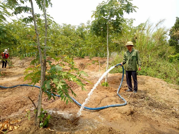 Người dân xã Ea Lai (huyện M'Đrắk) tìm nhiều cách để bảo đảm nước tưới cho cây trồng.  