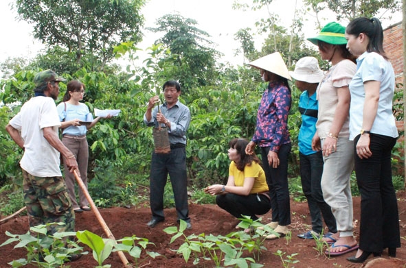 Cán bộ khuyến nông tập huấn kỹ thuật trồng và chăm sóc cây ăn trái cho hộ dân ở xã Hòa Thắng.