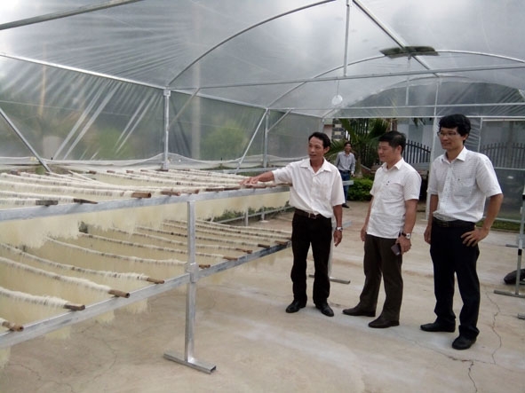 Lãnh đạo UBND thành phố và Đảng ủy phường Khánh Xuân thăm mô hình nhà sấy bún, miến, phở  của gia đình anh Hà Văn Tuyến. 