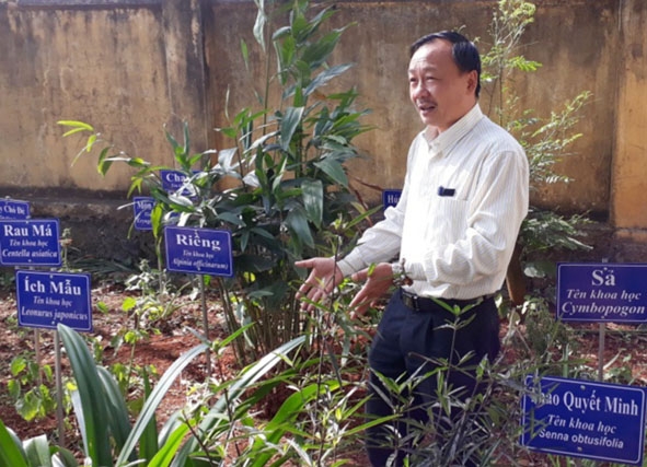 Bác sĩ Nguyễn Hoàng Việt, Giám đốc Trung tâm Y tế huyện Krông Bông kiểm tra vườn thuốc nam  tại Trạm Y tế xã Dang Kang.   