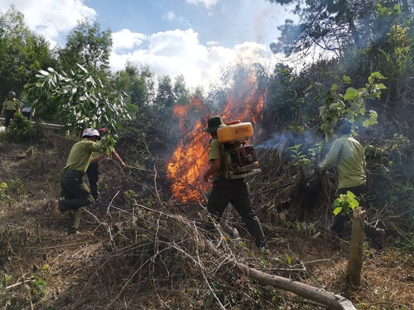 Ban Quản lý rừng phòng hộ Núi Vọng Phu huấn luyện chữa cháy rừng tại phân vùng của đơn vị. 