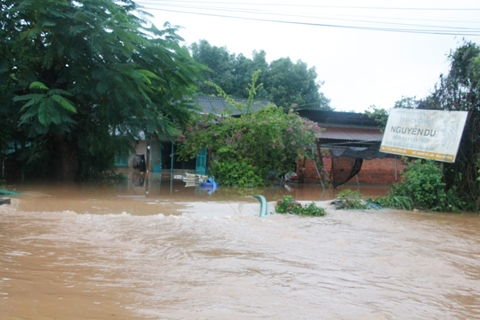Sau trận mưa lớn kéo dài, nhiều nhà dân ở phường Tự An (TP. Buôn Ma Thuột) bị ngập trong nước. Ảnh: Hoàng Minh Thùy
