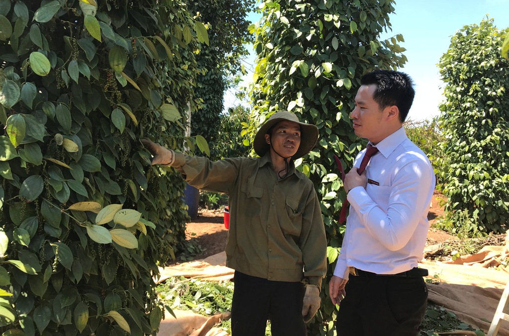 Cán bộ Agribank Bắc Đắk Lắk kiểm tra hiệu quả vốn vay của khách hàng trên địa bàn huyện Ea H'leo (Ảnh minh họa)
