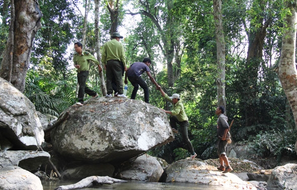 Kiểm lâm VQG Chư Yang Sin phối hợp với người dân nhận khoán  tuần tra rừng
