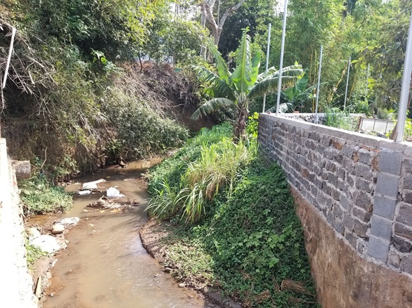 Suối Ea Ngay đoạn chảy qua phường Thành Công và xã Cư Êbur bị kè lấn thu hẹp dòng chảy.