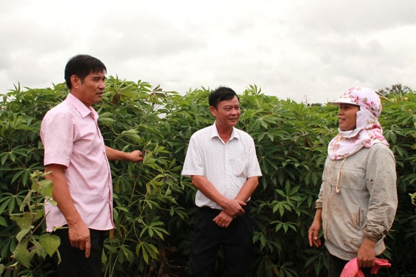 Người dân buôn Ea Nao A (xã Ea Tu, TP. Buôn Ma Thuột) trồng hoa màu tại khu vực đất sản xuất được cấp.