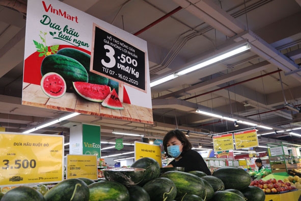 Công ty Cổ phần Sản xuất và Dịch vụ Nông nghiệp Hương Cao Nguyên phối hợp với nông dân và hệ thống siêu thị VinMart tổ chức 