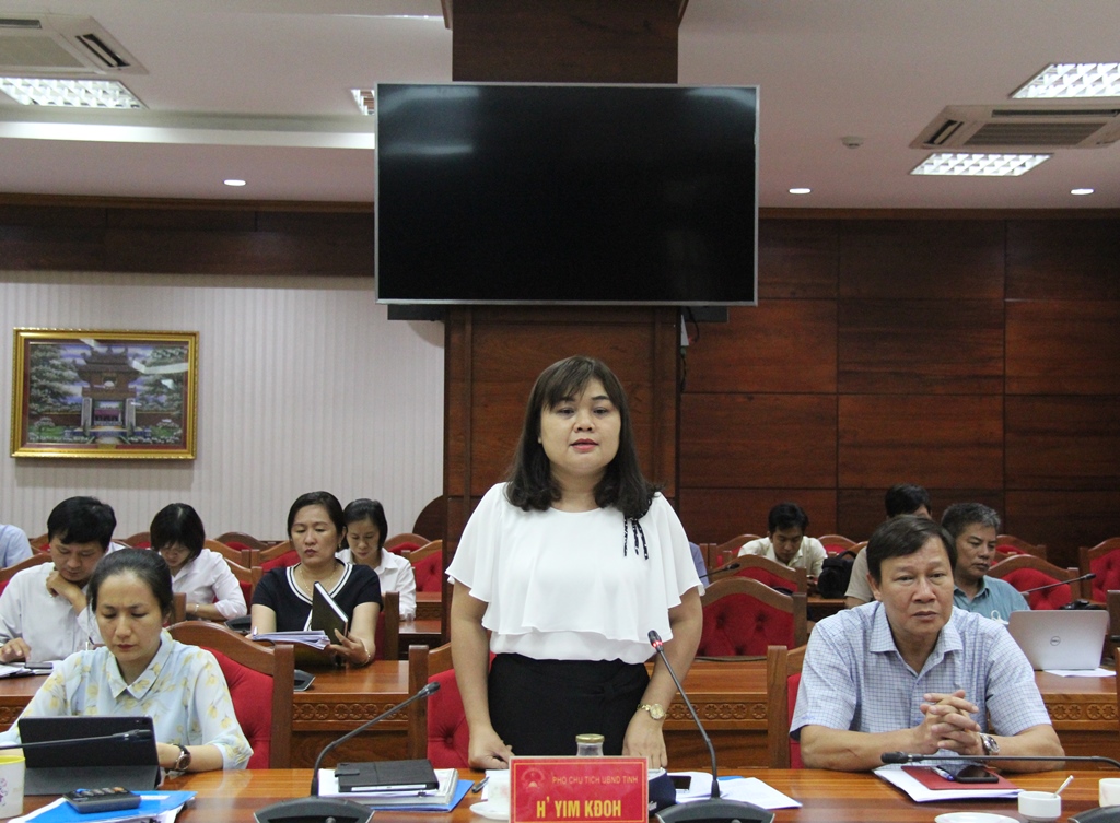 Phó Chủ tịch UBND tỉnh H’Yim Kđoh thông tin về tình hình thực hiện Nghị quyết 42/NQ-CP của Chính phủ