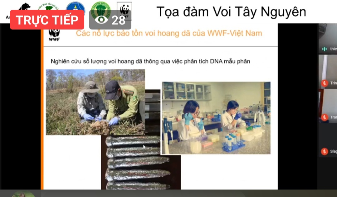 Đại diện Tổ chức WWF - Việt Nam