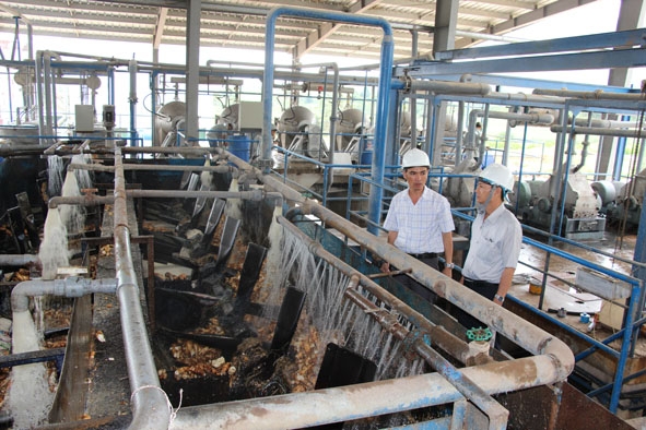 Chế biến tinh bột sắn tại một nhà máy ở huyện M’Drắk. 