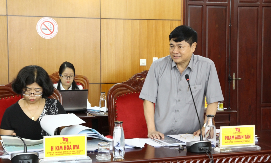 Phó Bí thư Thường trực Tỉnh ủy Phạm Minh Tấn phát biểu tại hội nghị. 