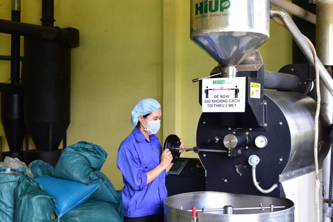 Một dự án chế biến cá phê chất lượng cao trong Khu công nghiệp Hòa Phú