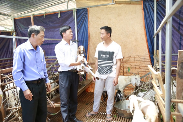 Lãnh đạo Hội Nông dân huyện Cư Kuin tham quan mô hình chăn nuôi dê của gia đình anh Lê Văn Tuấn  (thôn 21,xã Ea Ning).  