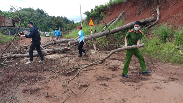 Lực lượng Công an xã Cư Né thu dọn cây gãy đổ ra đường sau mưa bão.