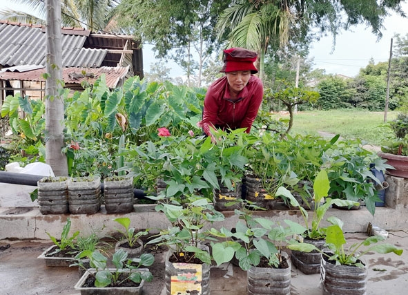 Bà Cao Thị Bình chăm sóc rau trồng trên các vật dụng phế thải. 