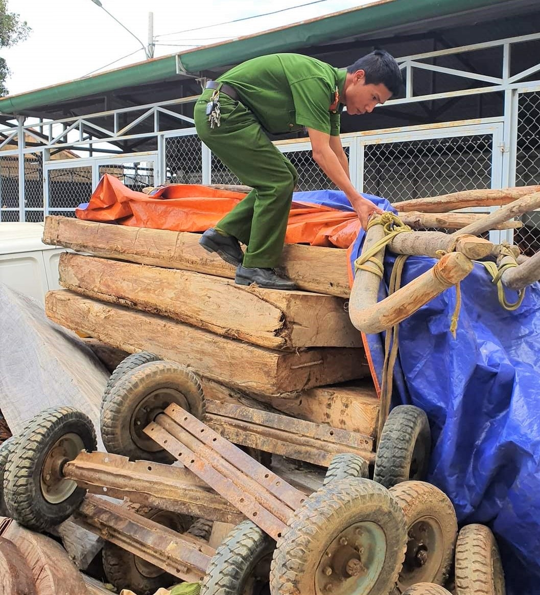 Lực lượng Công an huyện Krông Bông tịch thu tang vật của các đối tượng vận chuyển lâm sản trái phép tại xã Cư Đrăm.