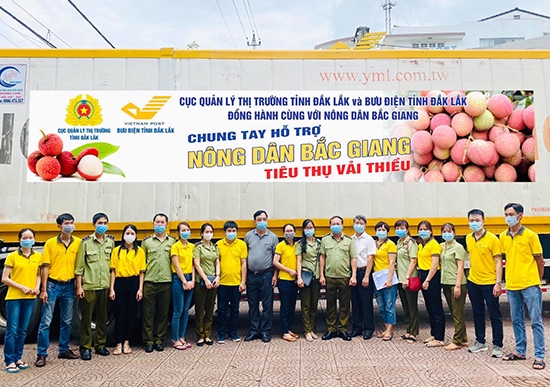 Cục Quản lý thị trường Đắk Lắk phối hợp với Bưu điện tỉnh chung tay hỗ trợ nông dân tỉnh Bắc Giang, vận chuyển vải thiều về tiêu thụ trên địa bàn tỉnh