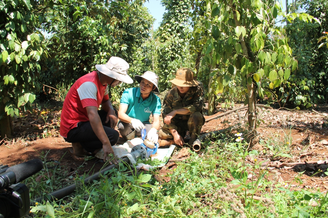 Lắp đặt hệ thống tưới tiết kiệm trong vườn cà phê cảnh quan ở xã Ea Tân (huyện Krông Năng). 