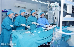 Hỗ trợ chuyên môn liên tuyến, nâng tầm kỹ thuật y khoa