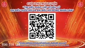 Tìm hiểu về bầu cử đại biểu Quốc hội và bầu cử đại biểu HĐND các cấp (Kỳ 7)