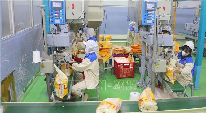 Vietnam exports over 8 million tonnes of rice, earning 4.1 billion USD in 2025
