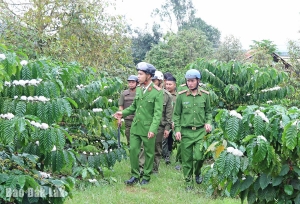 Những “lá chắn xanh” giữ bình yên buôn làng