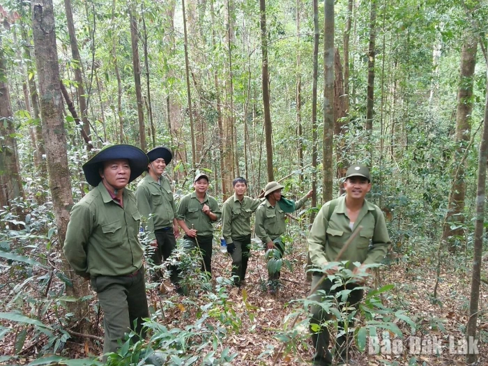 Gắn sinh kế với trách nhiệm bảo vệ rừng ở Đắk Phơi