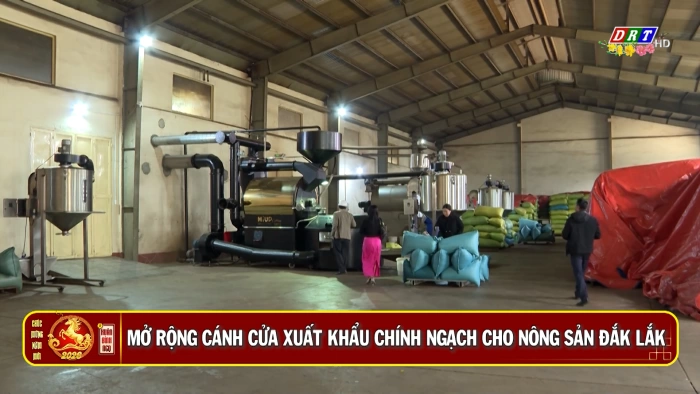 Bản tin sáng ngày 20/2/2026