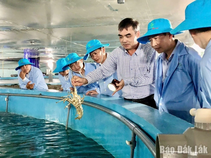 Lê Hữu Tình 
- nhà khoa học 
của nhà nông