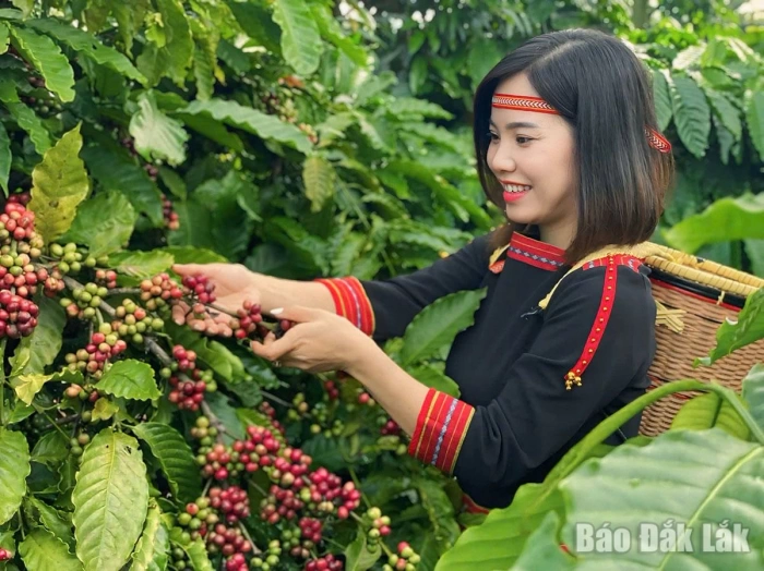 Để di sản văn hóa thực sự 
trở thành 