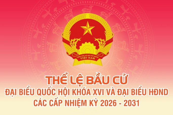 (Inforgraphic) Thể lệ bầu cử đại biểu Quốc hội khóa XVI và đại biểu HĐND các cấp nhiệm kỳ 2026 - 2031