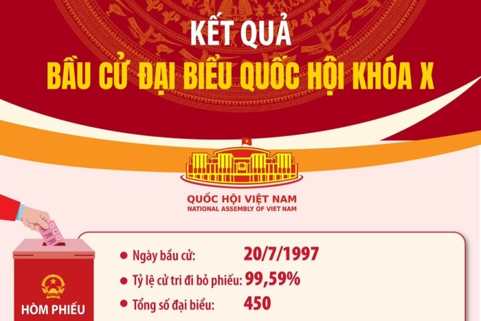 (Infographic) Kết quả bầu cử đại biểu Quốc hội khóa X