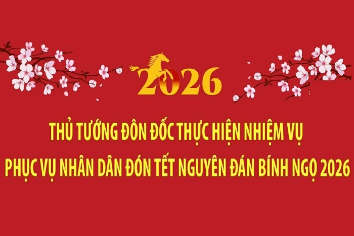 Thủ tướng đôn đốc thực hiện nhiệm vụ phục vụ Nhân dân đón Tết Bính Ngọ