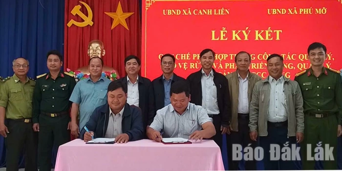 Tăng cường phối hợp bảo vệ rừng giáp ranh Canh Liên - Phú Mỡ