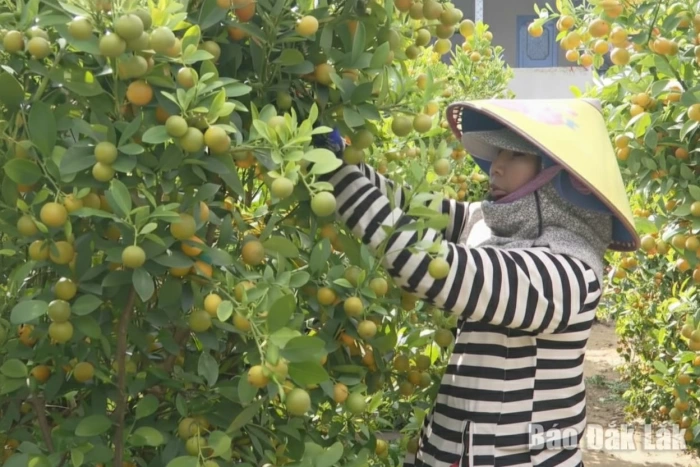 Điểm tựa của người nghèo sau bão lũ