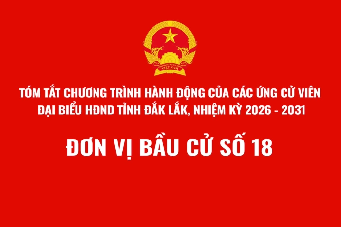 (Infographic) Tóm tắt Chương trình hành động của ứng cử viên đại biểu HĐND tỉnh Đắk Lắk, nhiệm kỳ 2026-2031 - Đơn vị bầu cử số 18