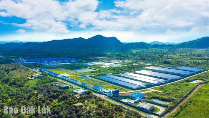 Hùng Nhơn - De Heus công bố Chiến lược phát triển chuỗi giá trị nông nghiệp giai đoạn 2026 - 2036