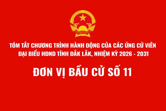 (Infographic) Tóm tắt Chương trình hành động của các ứng cử viên đại biểu HĐND tỉnh Đắk Lắk, nhiệm kỳ 2026 - 2031 - Đơn vị bầu cử số 11