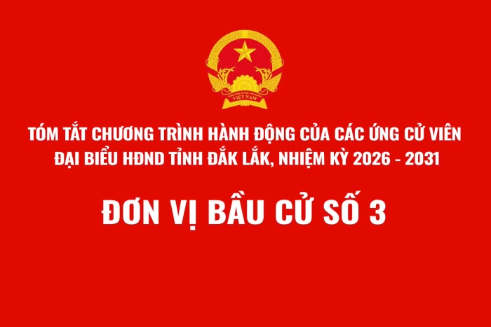 (Infographic) Tóm tắt Chương trình hành động của các ứng cử viên đại biểu HĐND tỉnh Đắk Lắk, nhiệm kỳ 2026-2031 - Đơn vị bầu cử số 3