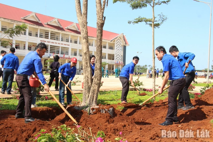 Trồng 550 cây xanh cảnh quan tại Trường Phổ thông Dân tộc nội trú THPT Đam San