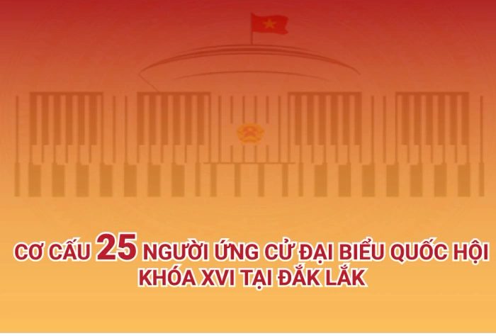 (Infographic) Cơ cấu 25 người ứng cử đại biểu Quốc hội khóa XVI tại Đắk Lắk