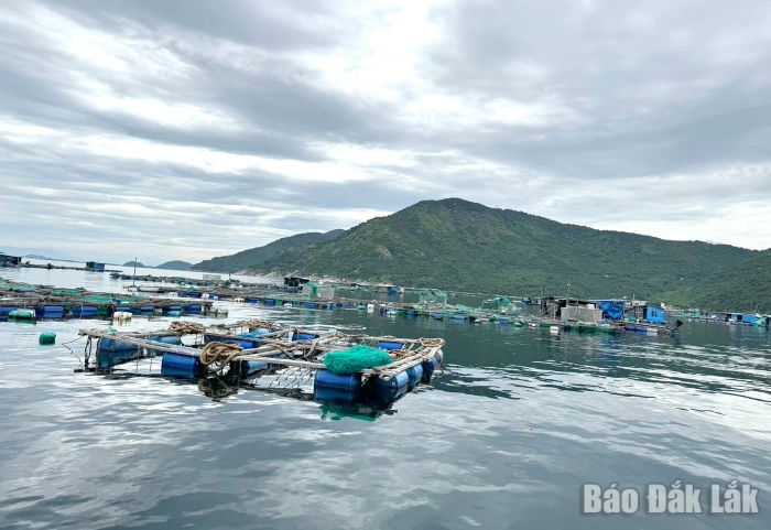 Nghiêm cấm nuôi trồng thủy sản tại khu vực Hòn Nưa, xã Hòa Xuân
